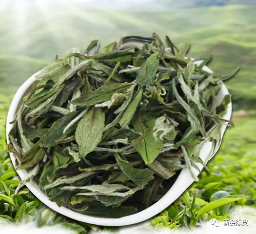 秋月圈枝小青柑白茶 陈皮人家匠心呈现的茶界珍品