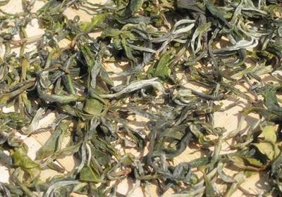 精制茶 毛茶与炭焙茶的独特定位与特点解析